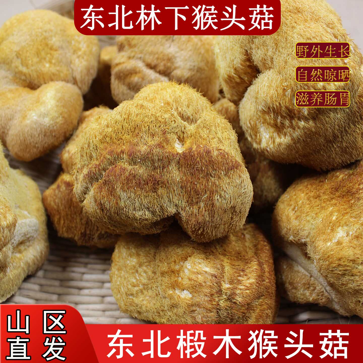 长白山猴头菇干货无硫半野生新货