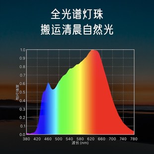 精选【蜻蜓学习灯】2平米书桌护眼灯中小学生卧室儿童台灯夹灯