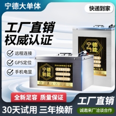 宁德72v电动车磷酸铁锂60伏48v外卖快递三四轮车专用三元锂电池