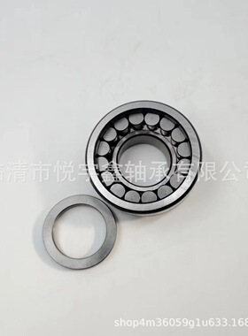 SI183008 SI183009 SI183010 SI183011 装满圆柱滚子轴承