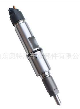 共轨喷油器总成0445120294 配柴油发动机喷油器