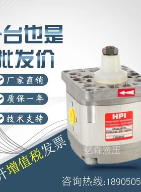 法国HPI齿轮泵P1AAN2010Y/2008Y/3031Y/P1BAN2630Y/2512H/P3BAN