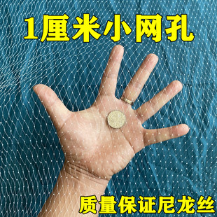 1厘米防鸟网果树防冰雹网樱桃葡萄园防鸟用网家用蔬菜阳台防鸟网