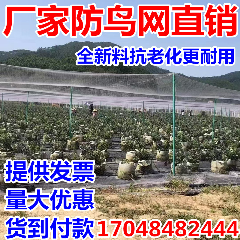 果园防鸟网全新料抗老化工厂直销