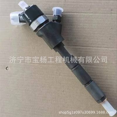 0445110307喷油器6271-11-3100喷油嘴0986435196喷射器4025334
