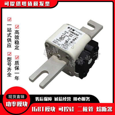 170M4718 170M4719 170M5708 170M5709巴斯曼熔断器现货
