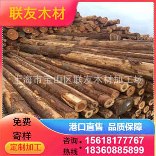 日本柳杉原木批发 工地河道打桩木 杉木桩 原木桩 厂家供应