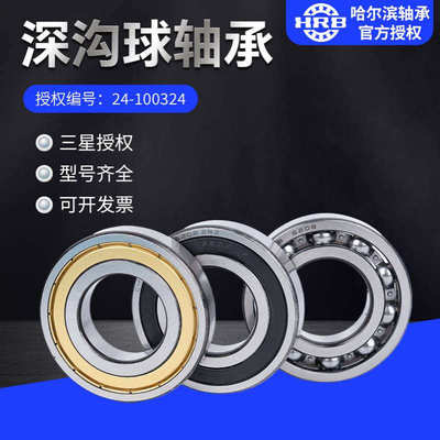 HRB哈尔滨轴承61930M61934M 61936M