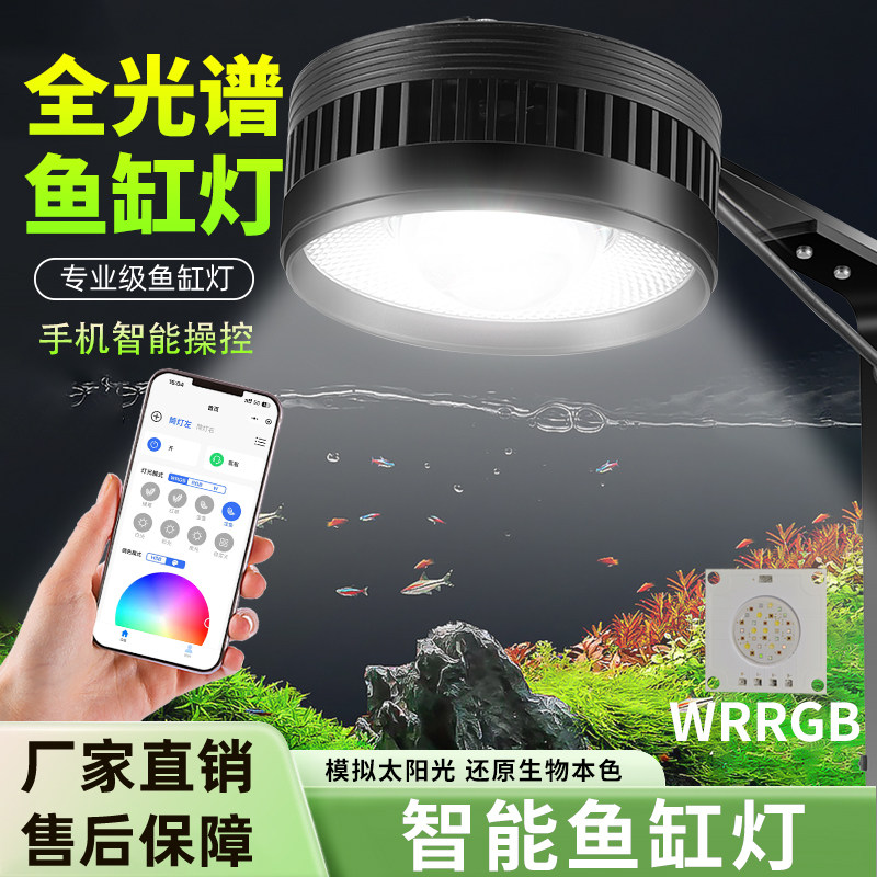 亿得胜智能水草筒灯爆藻灯