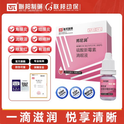 犬猫结膜炎角膜炎专用宠物眼药水