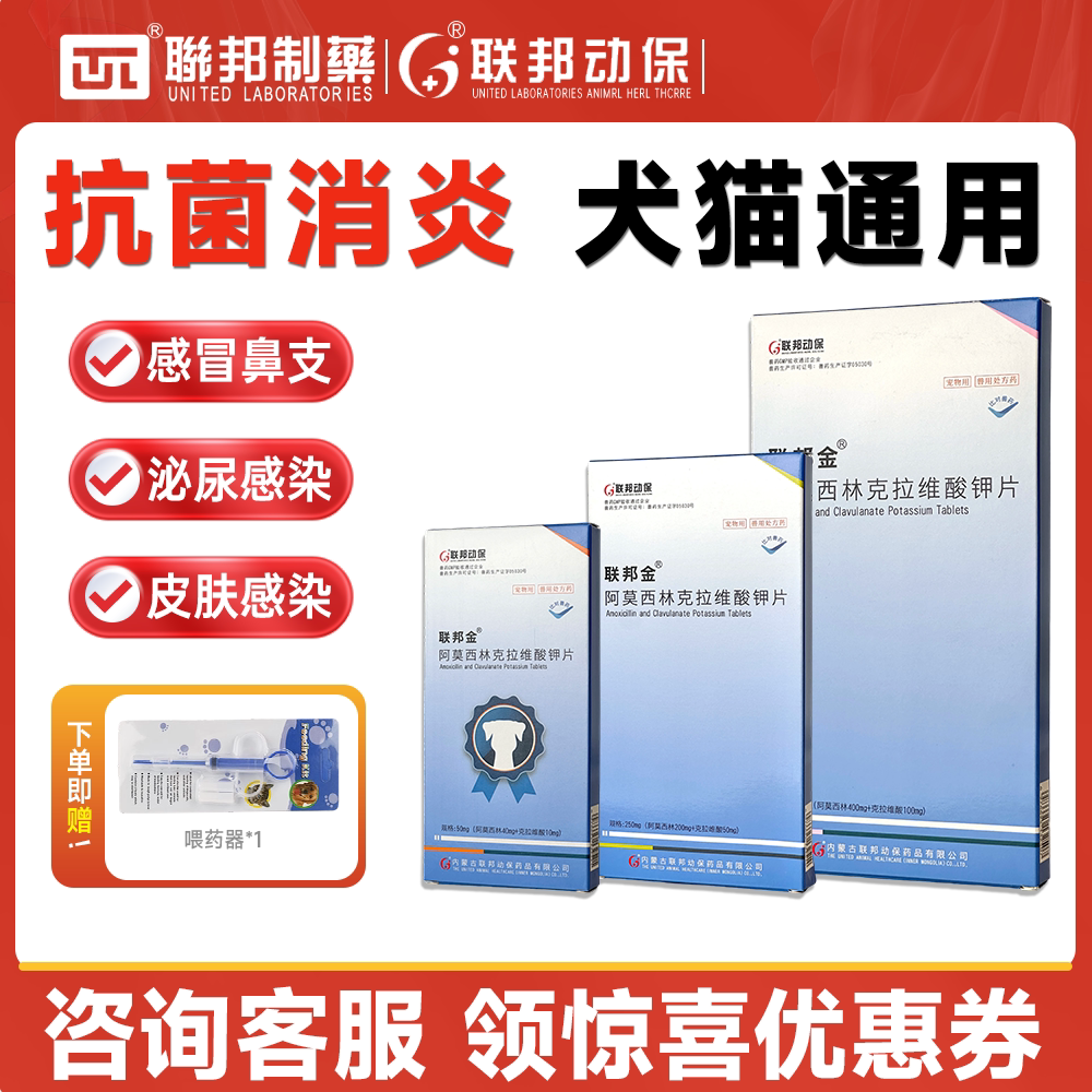 联邦金阿莫西林克拉维酸钾片