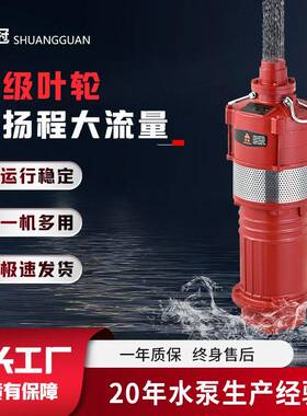 Q(D)小型多级潜水泵家用小型清水泵高扬程清水泵农用灌溉大流量
