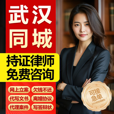 湖北武汉市 法律咨询服务代写起诉状离婚劳动仲裁律师函网上立案