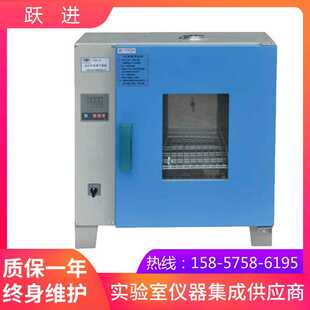 可编程 上海跃进HYHG 液晶屏显示 270远红外干燥箱