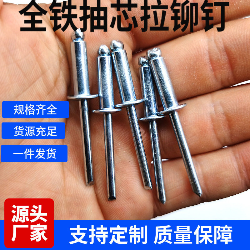 厂家批发全铁抽芯铆钉 铁拉铆钉 开口型抽芯全铁拉铆钉 拉柳丁