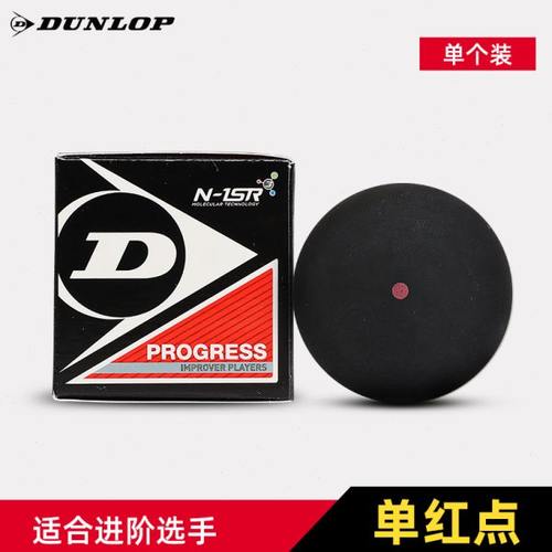 DUNLOP登路普壁球单蓝点双黄点壁球训练初学入门中级专业选手适用