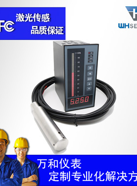 水位传示仪  水深3300  防雷型  WH311 信号可远传5000米
