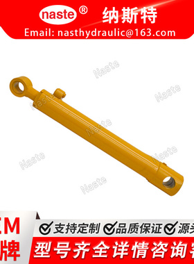 AH211198 液压油缸