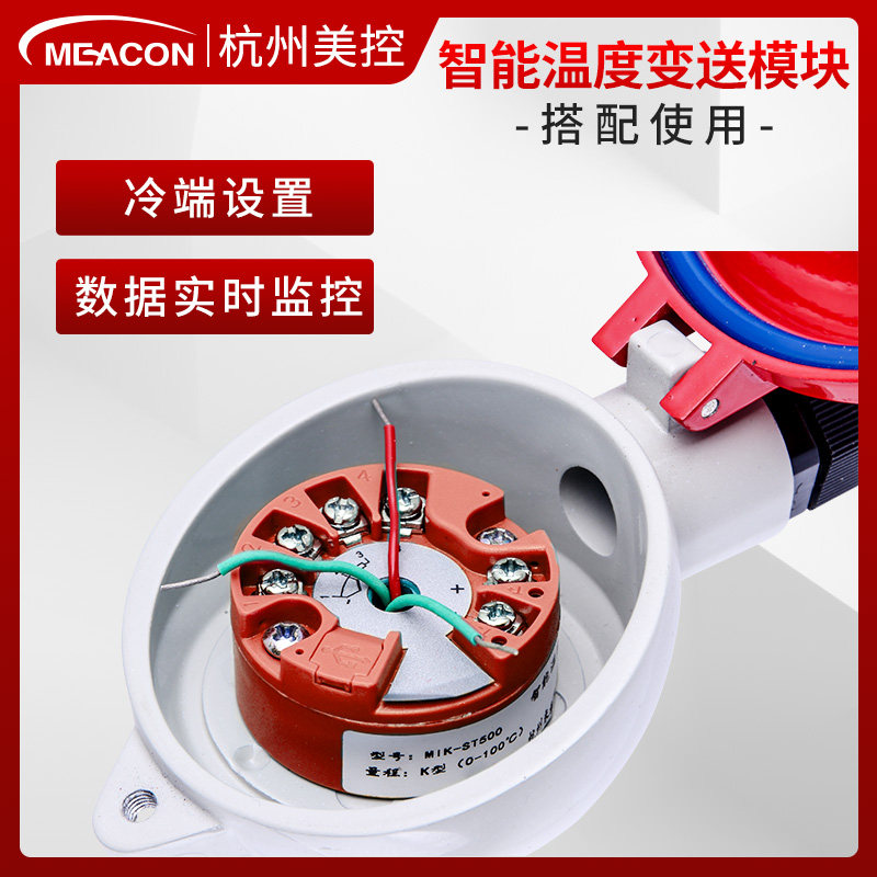 铠装热电偶 K型PT100温度传感器wrn130温度变送器铂wzVp-230热电