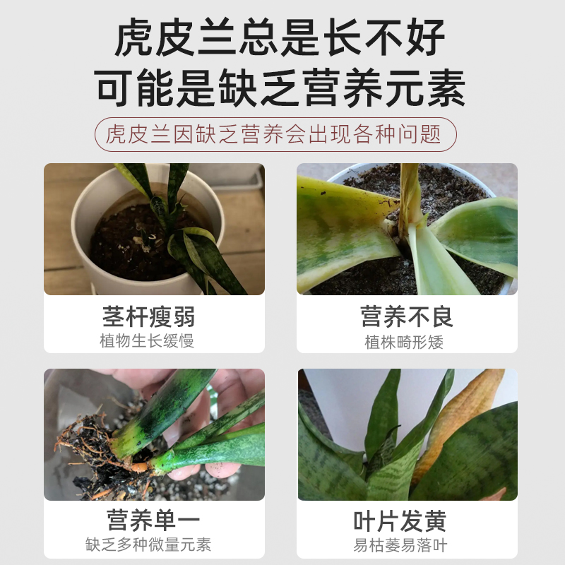 虎皮兰缓释肥复合肥家用型w控释颗粒植物盆栽绿植花卉养花肥料