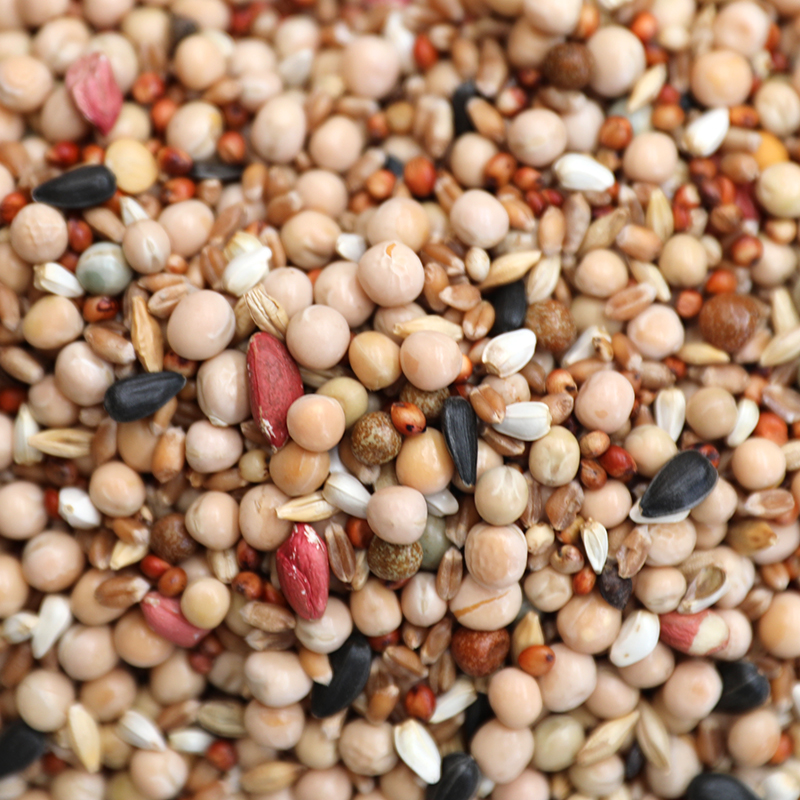 50斤无玉米鸽粮赛飞营养饲料鸟B食信鸽观赏鸽肉鸽粮鸽子食送保健