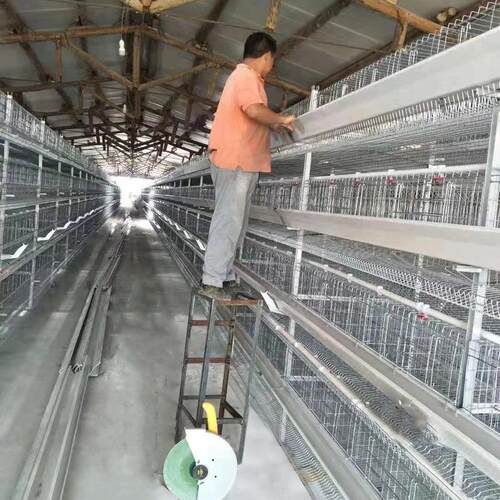 全自动蛋鸡笼层叠式养鸡设备厂家热镀锌捡蛋喂料清粪全自动化鸡笼