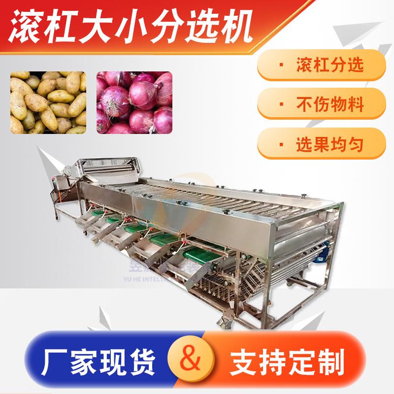 全自动分选机流水线 大型商用果蔬洋葱土豆大小滚杠式筛选分级机