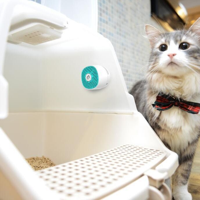 生活电器 VF光触媒除臭器猫沙盆鞋柜垃圾除臭器分解异味无损耗