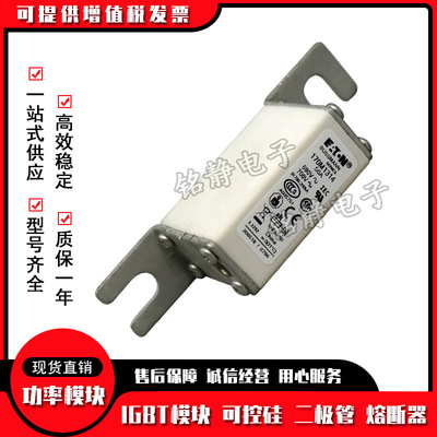 巴斯曼熔断器170M1313 170M1314 170M1315 170M1316 170M1317现货