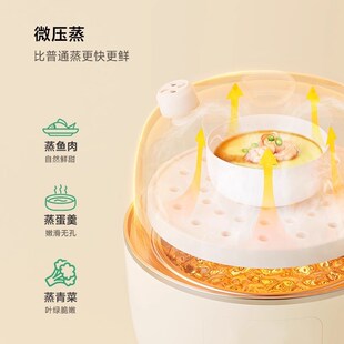 精选plodon浦利顿副食品锅婴儿宝宝电炖锅BB煲汤隔水炖锅微压陶瓷