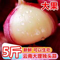 云南大理独头蒜大果5斤220个新鲜干蒜新蒜大蒜头独蒜紫皮鲜蒜批发