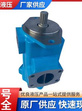 NVICKS威克斯叶片泵T7DDS-B31-B31-1R03-C1油泵