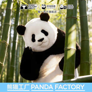 【12期免息】熊猫工厂官方十岁金牌萌兰超大坐姿毛绒玩偶潮玩礼物