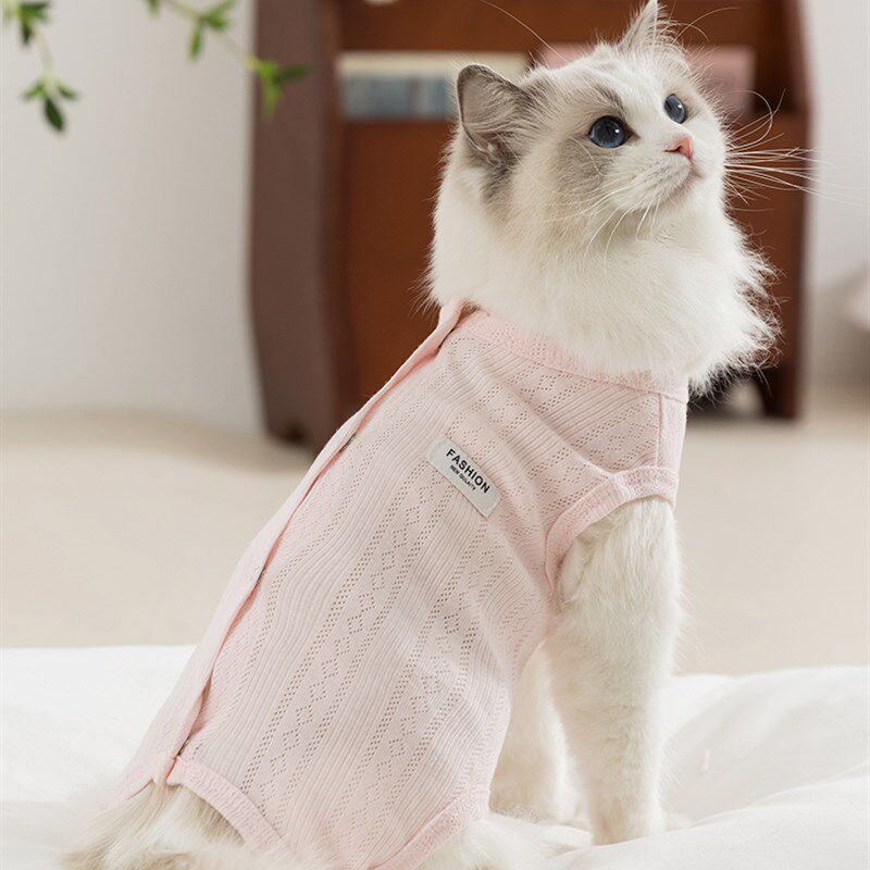 猫咪衣服包肚衣纯棉n舒适防掉毛护肚衣小猫幼猫春秋薄款夏天空调
