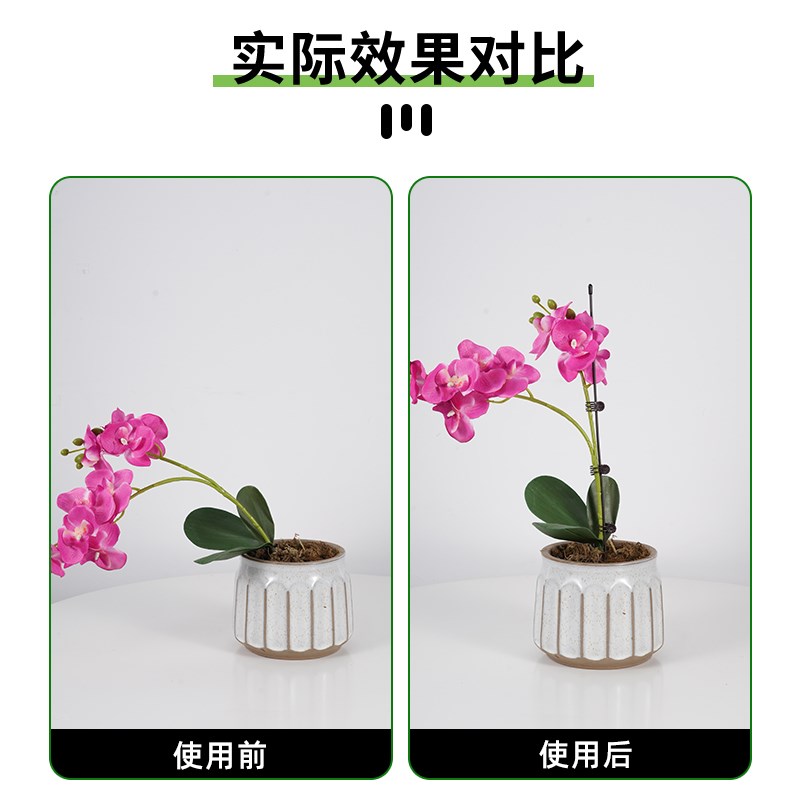 蝴蝶兰支架兰花植物支撑杆蝴蝶兰夹子I园艺花架花卉防倒伏固定