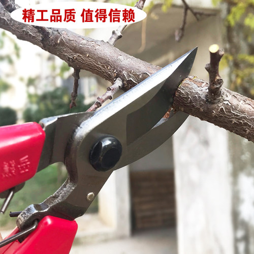 东风园艺剪刀修枝剪省力花木y修树枝剪花枝修花 园艺果树树剪子