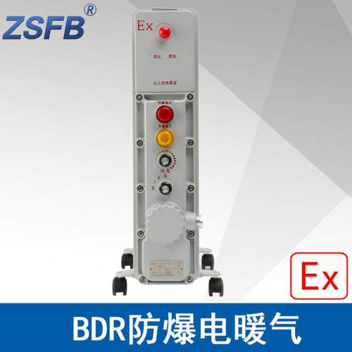 浙江中沈BDR2500防爆电暖气取暖器电热油汀功率2.5W13片电压220V