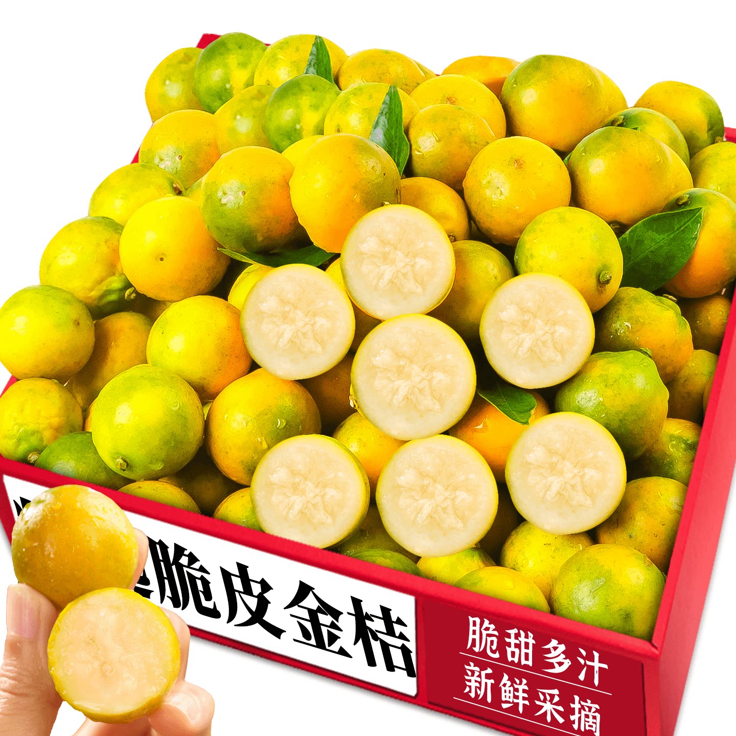 【脆皮金桔】营养美味|老农现摘