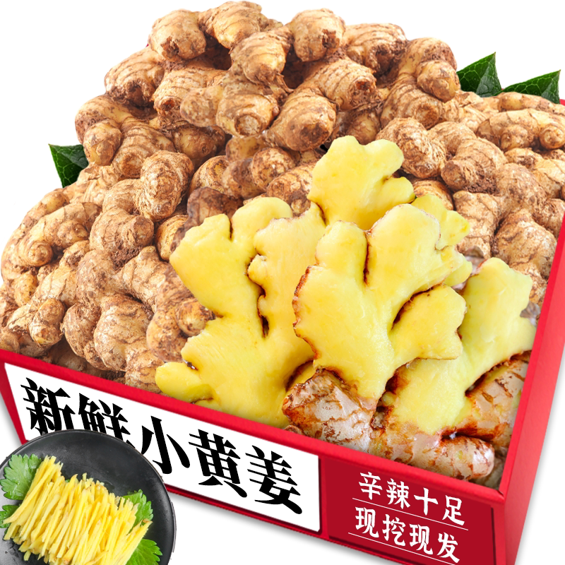 新鲜小黄姜|新鲜现挖|产地直发