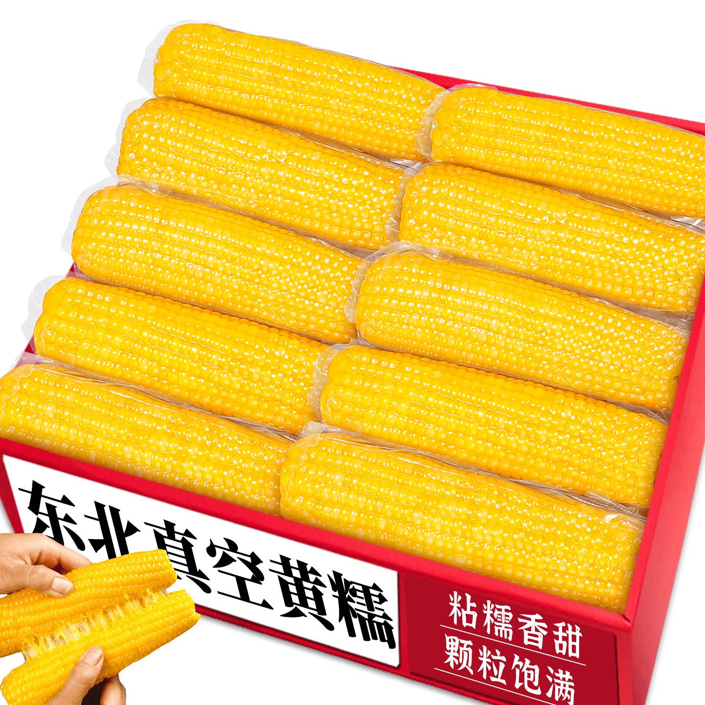 【东北黄糯玉米】农家自种|粗粮