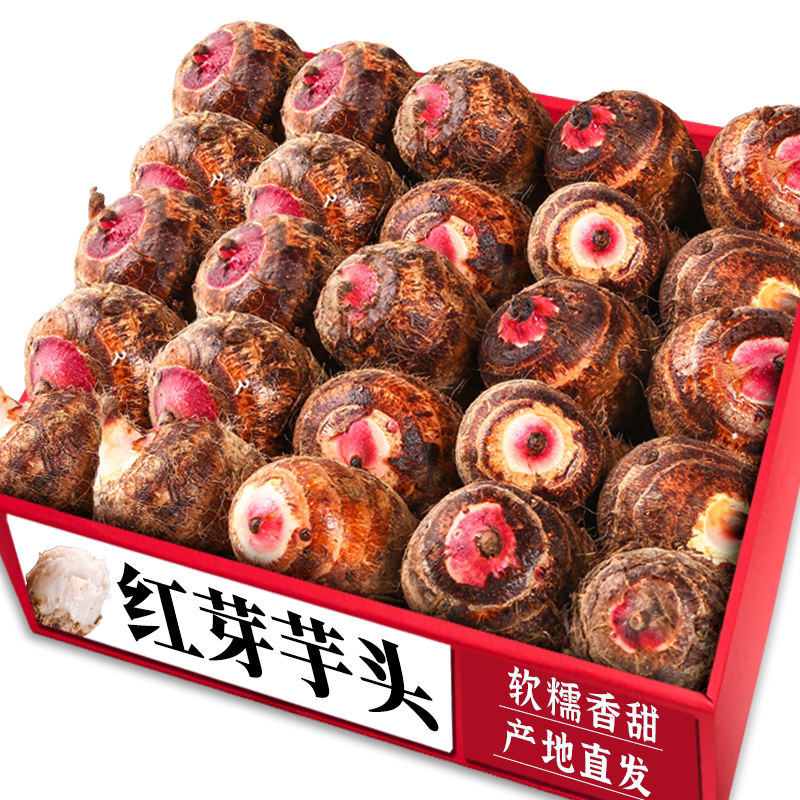 【红芽芋头】粉糯细腻|老农现挖