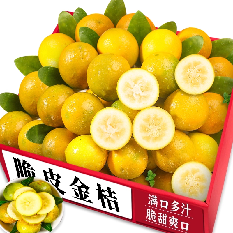 【脆皮金桔】营养美味|老农现摘