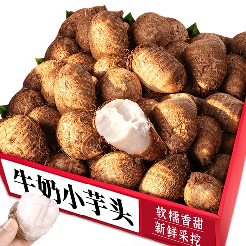 当季牛奶芋头！新鲜牛奶芋头力荐