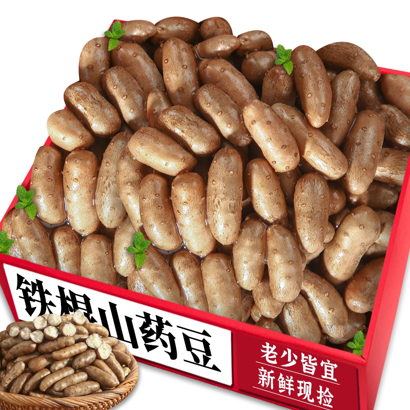 铁棍山药豆正宗铁棍山药豆新鲜现摘农家种植新鲜速发河北山药蛋