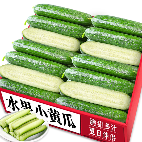 【水果小黄瓜】脆甜多汁！限时购