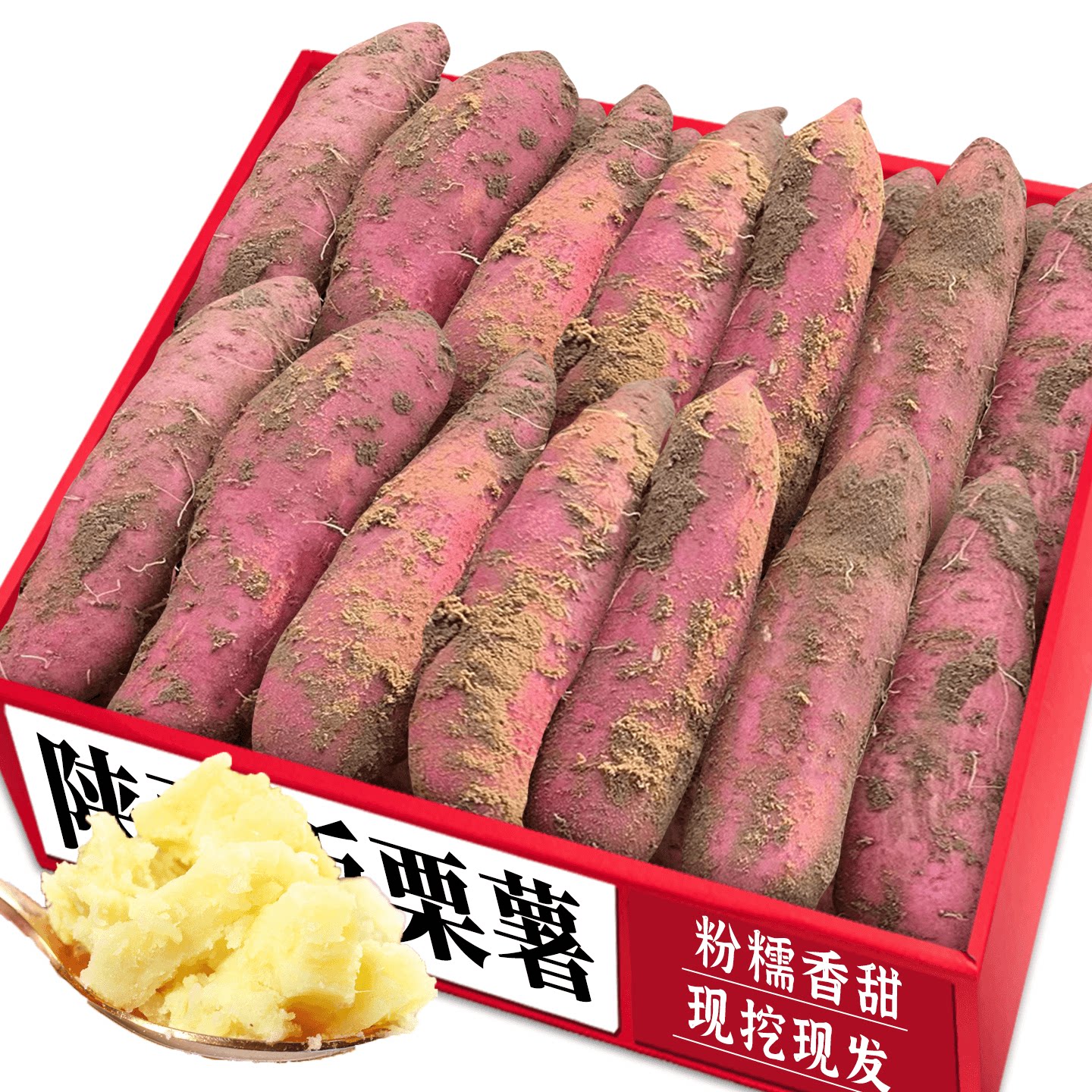 板栗红薯!新鲜现挖!老农力荐