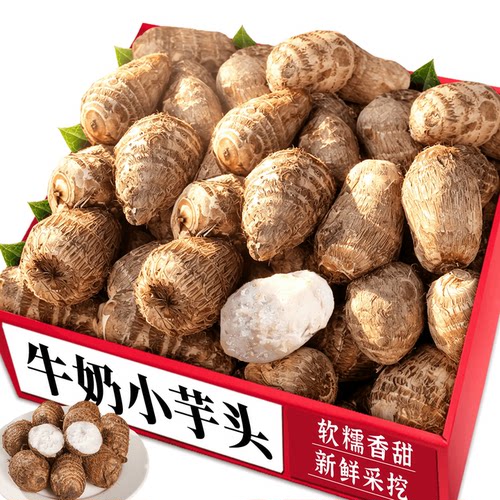 当季牛奶芋头！新鲜牛奶芋头力荐