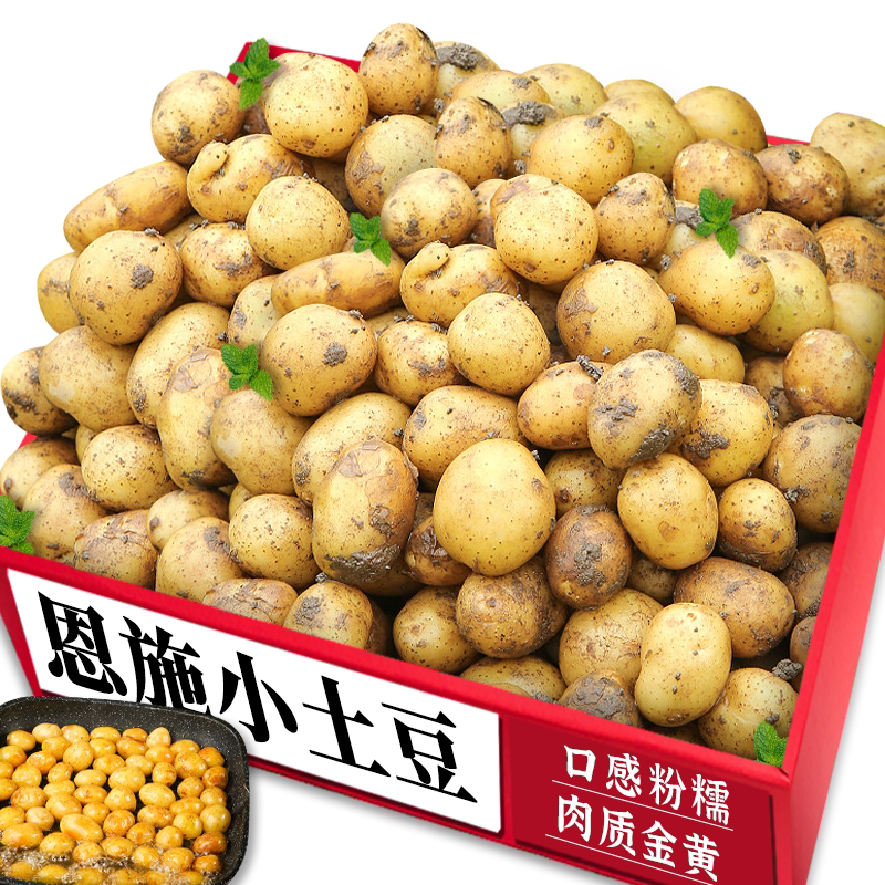 恩施小土豆!新鲜现挖|粉面香甜