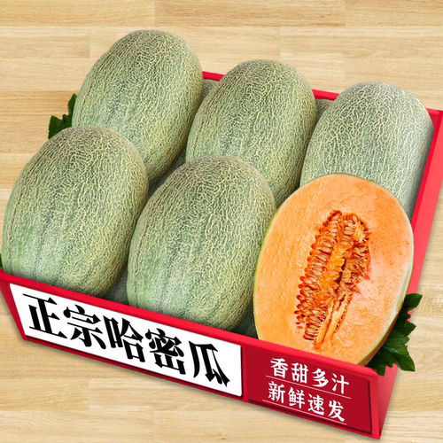 新鲜哈密瓜！香甜多汁！商超一级
