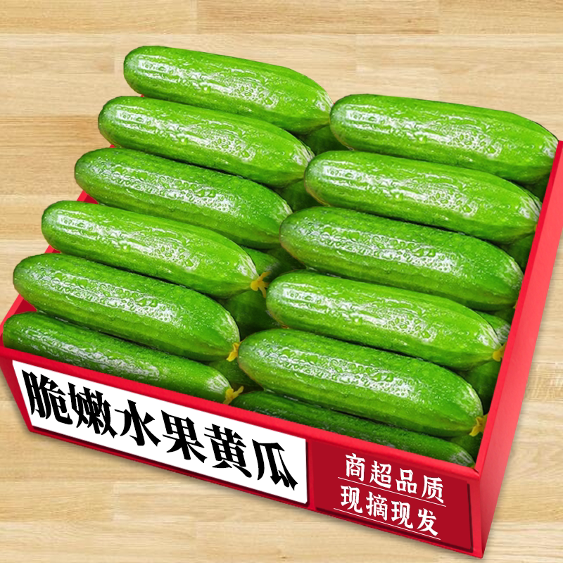 【水果黄瓜】脆嫩多汁|老农精选